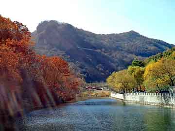 澳门天天免费精准大全，浪涌保护器价格